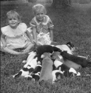 My sisters, Doris and Sue, with our dog, Nellie, and her puppies. About 1960.