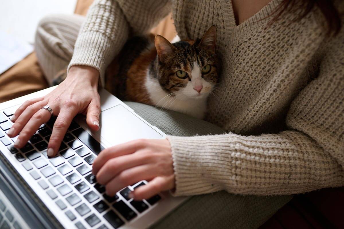 Woman typing on keyboard with cat.